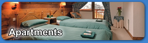 Independent Ski Links ... view apartments