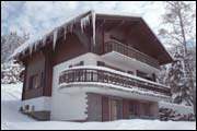 Armillaire at Independent Ski Links