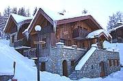 Campanules at Independent Ski Links