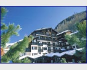 Apartment Les Hauts de Rogoney at Independent Ski Links