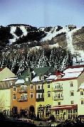 Plaza St Bernard Condominiums at Independent Ski Links